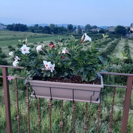 Ca Tognella Oda ve Kahvaltı