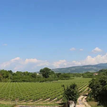 Oda ve Kahvaltı Ca Tognella 3*