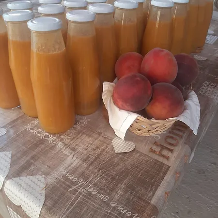 Oda ve Kahvaltı Ca Tognella