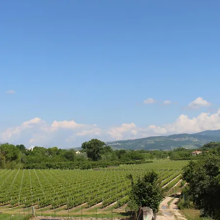 Ca Tognella Bed & Breakfast Pescantina