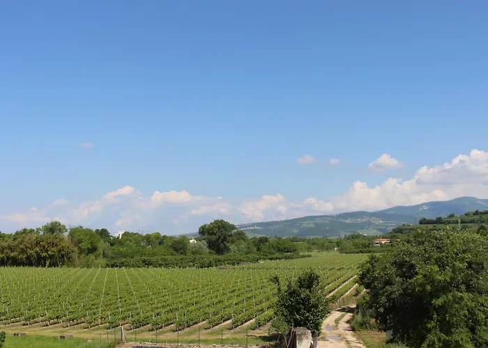 Ca Tognella Bed & Breakfast Pescantina