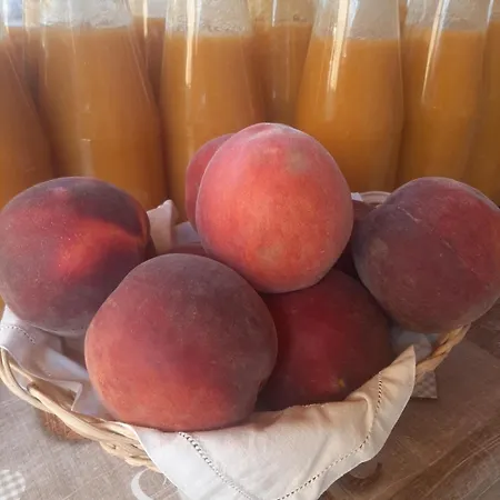 住宿加早餐酒店 Ca Tognella 佩斯坎蒂那