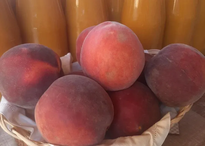 Frühstückspension Ca Tognella Pescantina