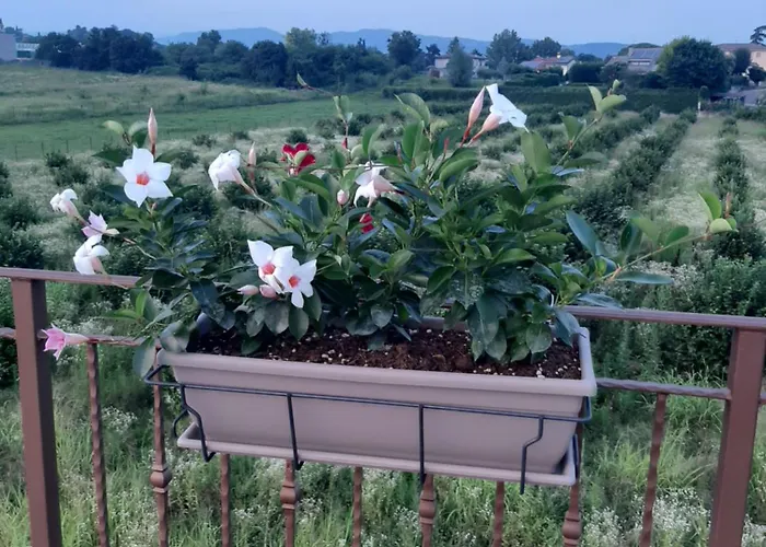 Ca Tognella Frühstückspension